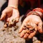 Nepal Women